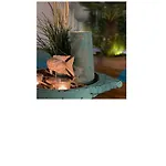Lägenhet Casa Blanka Bahia Playa Anlage *