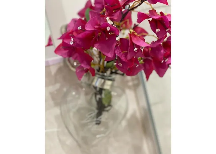 公寓 Casa Blanka Bahia Playa Anlage 科斯塔卡玛