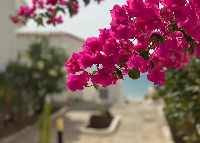 公寓 Casa Blanka Bahia Playa Anlage