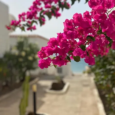 Διαμέρισμα Casa Blanka Bahia Playa Anlage