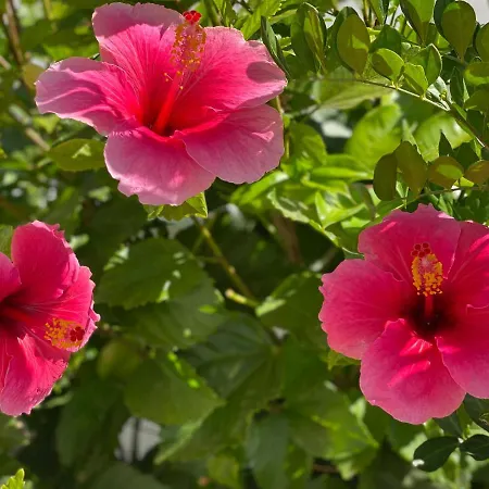 Casa Blanka Bahia Playa Anlage Apartamento