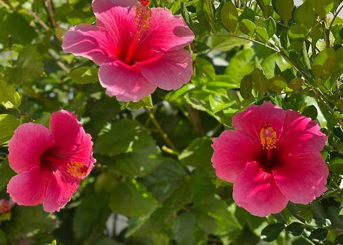 Casa Blanka Bahia Playa Anlage شقة